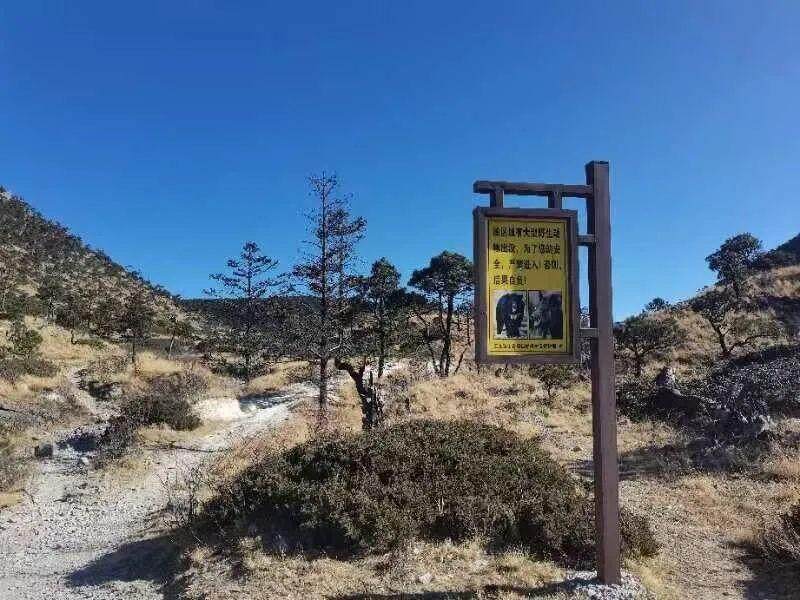 玉龙雪山雪崩频现，究竟是何原因？多位游客目击震撼瞬间！