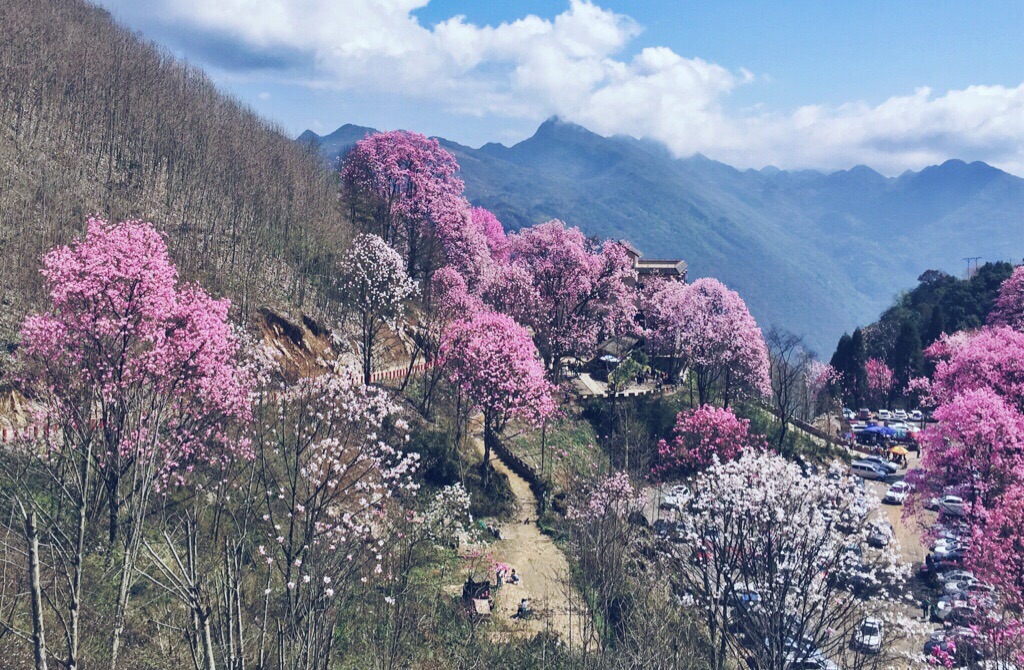 药王谷的神秘面纱，探寻其地理位置与传奇故事_有问必答