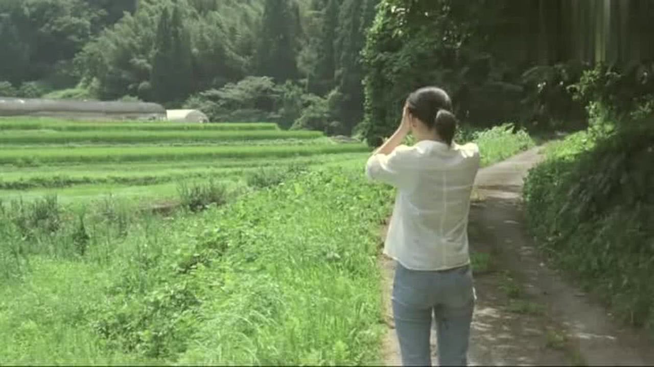 药王谷无人回应，探寻失落的神秘之地_最佳精选