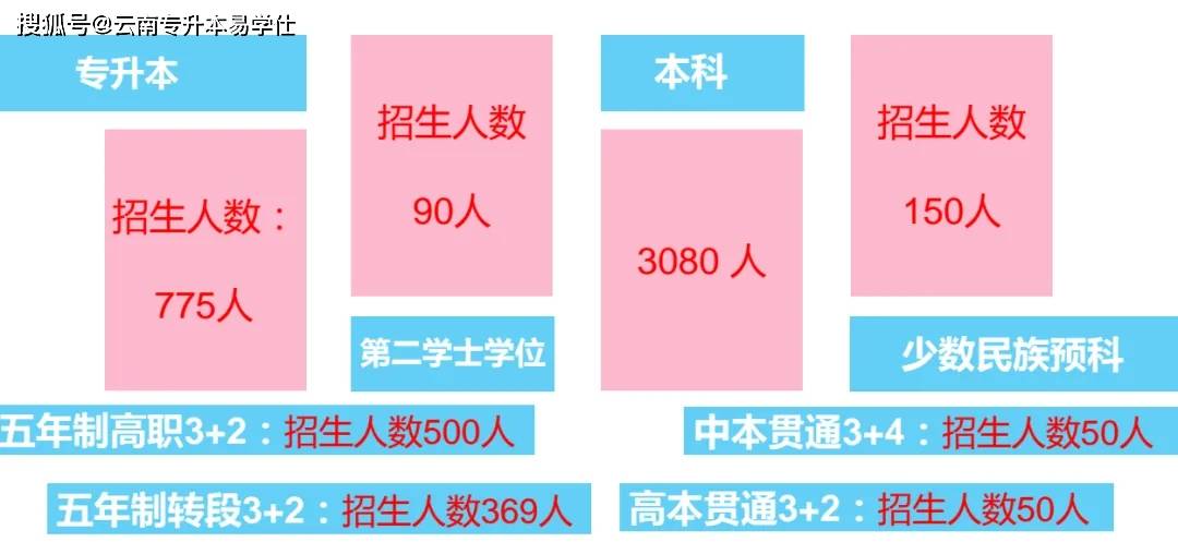 2024香港今期开奖号码,解答解释_扩展版29.775