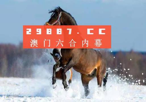 奥门一肖一码中,动态词语解释落实_Advance172.777