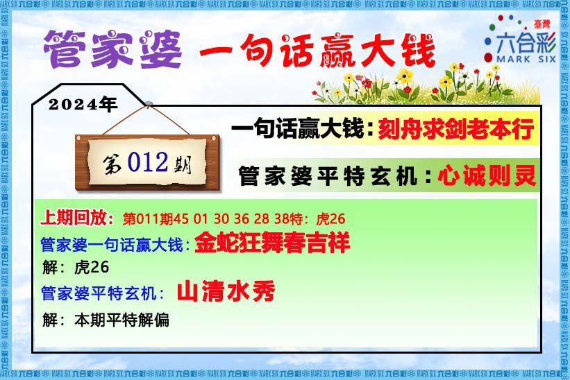 管家婆一码中一肖资料,全面解答_策略版95.228