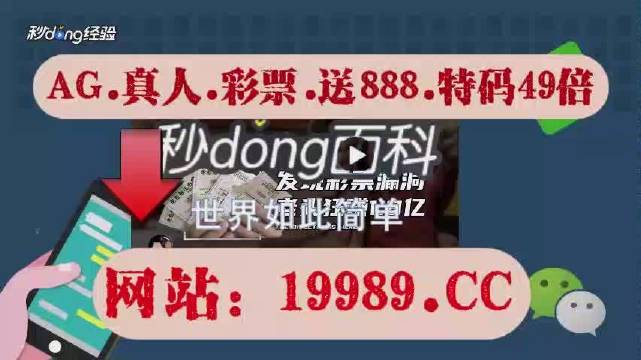 2024澳门天天开彩正版免费资料,反馈机制和流程_社交版95.462