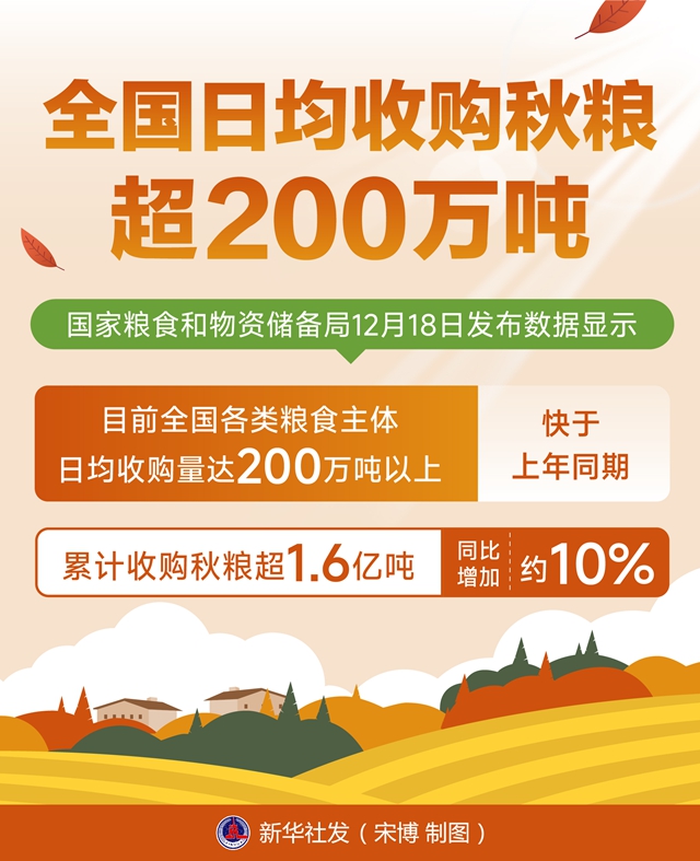 全国日均收购秋粮超200万吨，粮食市场的稳定与繁荣_解答解释落实