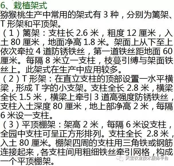 刘伯温四码八肖八码凤凰视频,方案细化和落实_旗舰版61.953