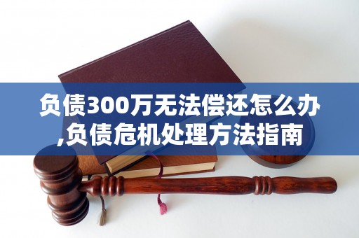 负债300万的我该怎么办_效率解答解释落实