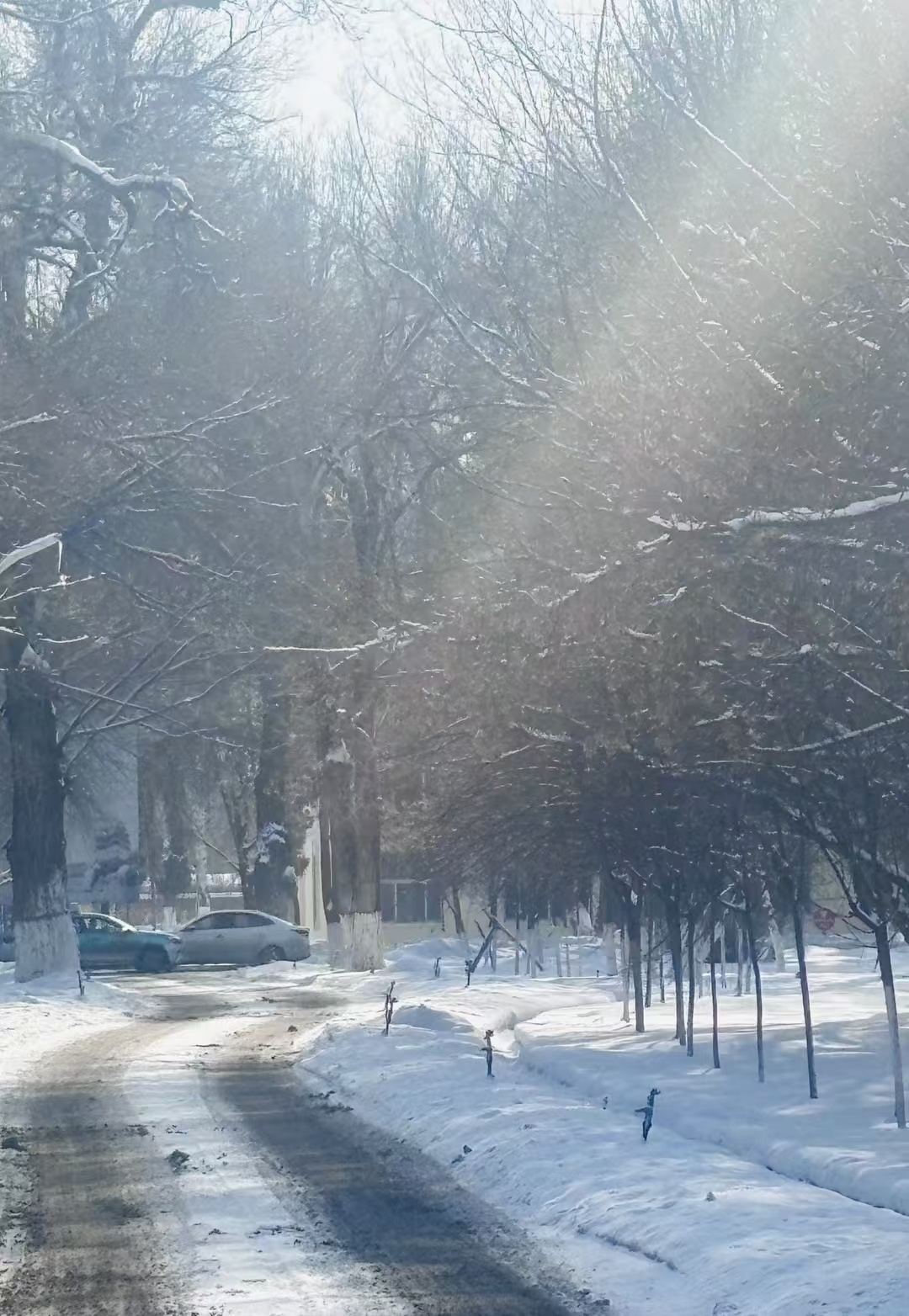 长沙下雪了_解释落实