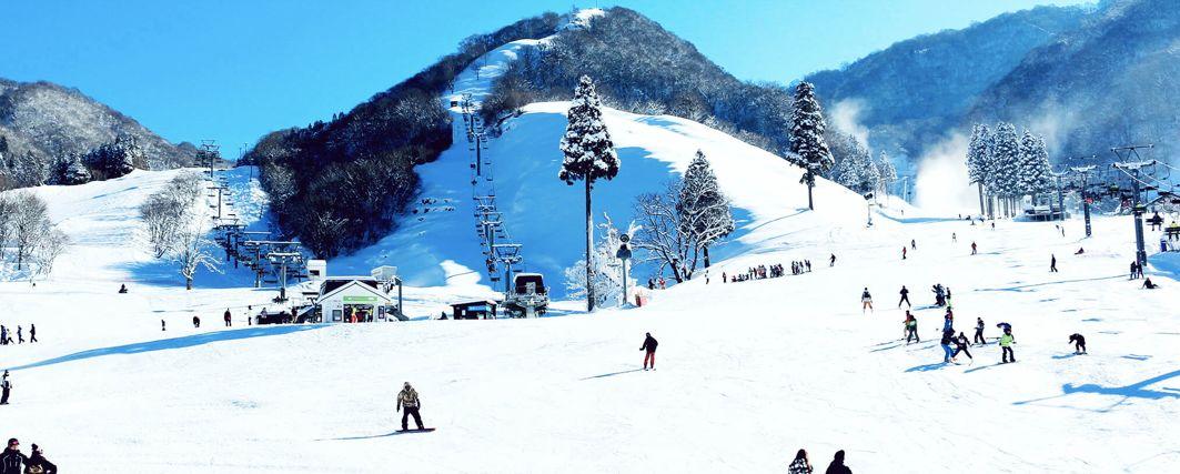 中国男游客在日本滑雪场遇难事件纪实_解释落实