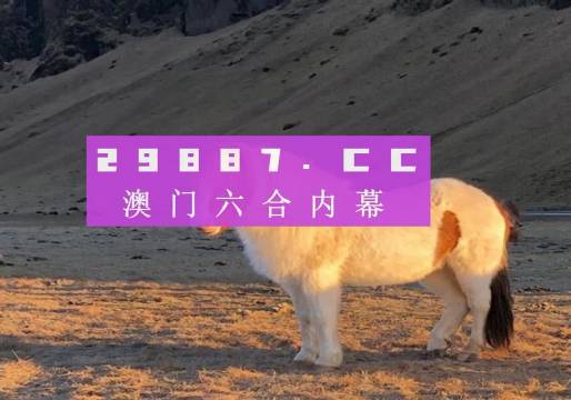 今晚澳门必中24码——体验科技带来的便利与创新