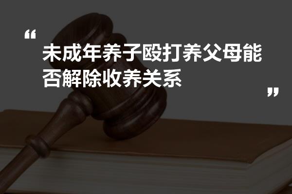 弃养养子是否犯法，法律解读与伦理探讨