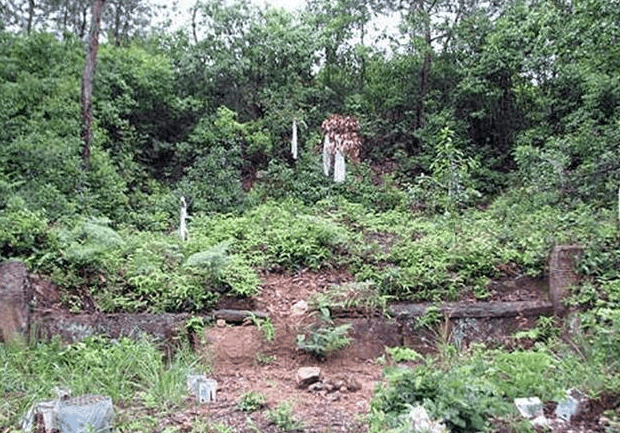 浙江小区旁惊现坟墓，邻里间的震惊与深思