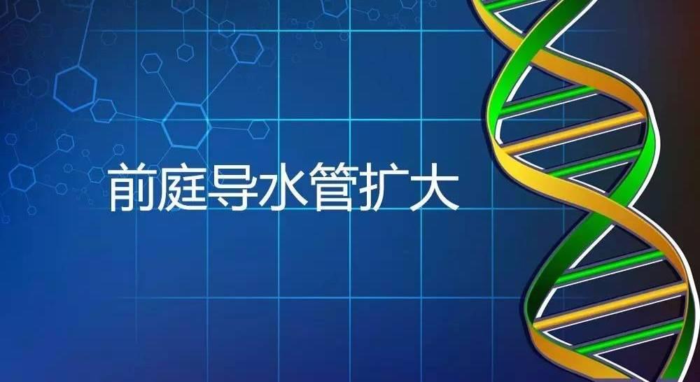 DNA破命案案例揭秘，科技助力揭开真相的面纱