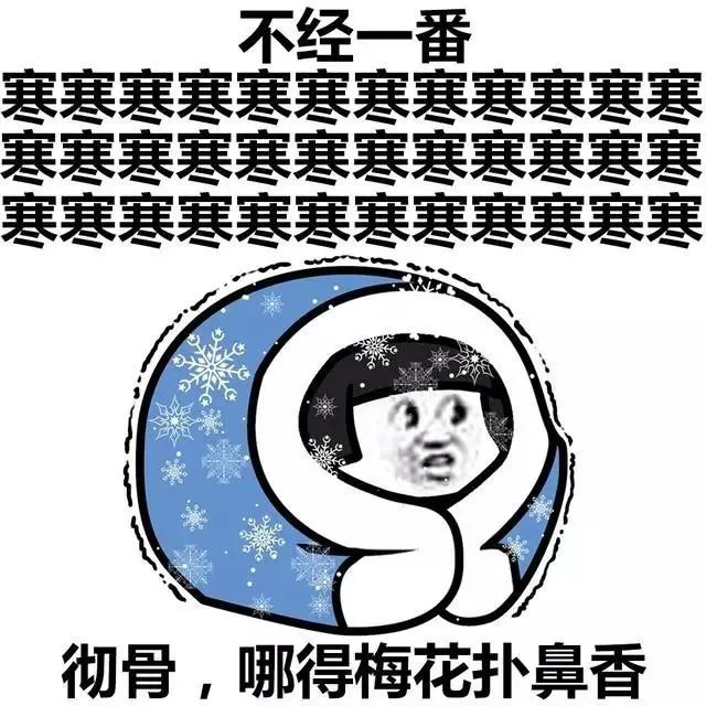 冷冷冷模式开启，寒冬中的数字生活体验