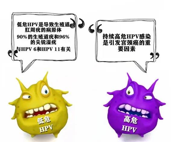 关于室友感染HPV是否要换宿舍的探讨