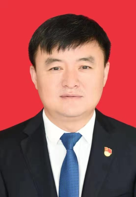 河南新乡常务副市长孙栋被查，深度解读与反思