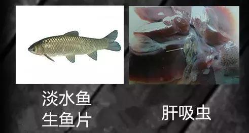 吃淡水鱼感染肝吸虫，警惕食品安全风险