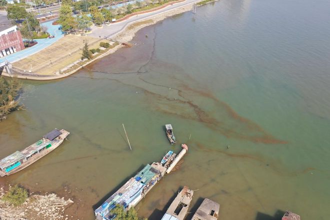 多地海边出现爆爆珠