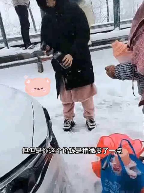 女子自驾返乡遇暴雪开直播，风雪中的智慧与勇气展现