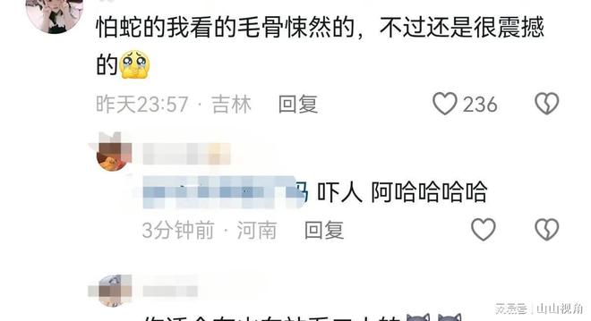 杨丽萍蛇舞，舞动的艺术，跃动的灵魂