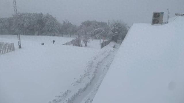 辽宁多地暴雪来袭，最大降雪量惊现丹东