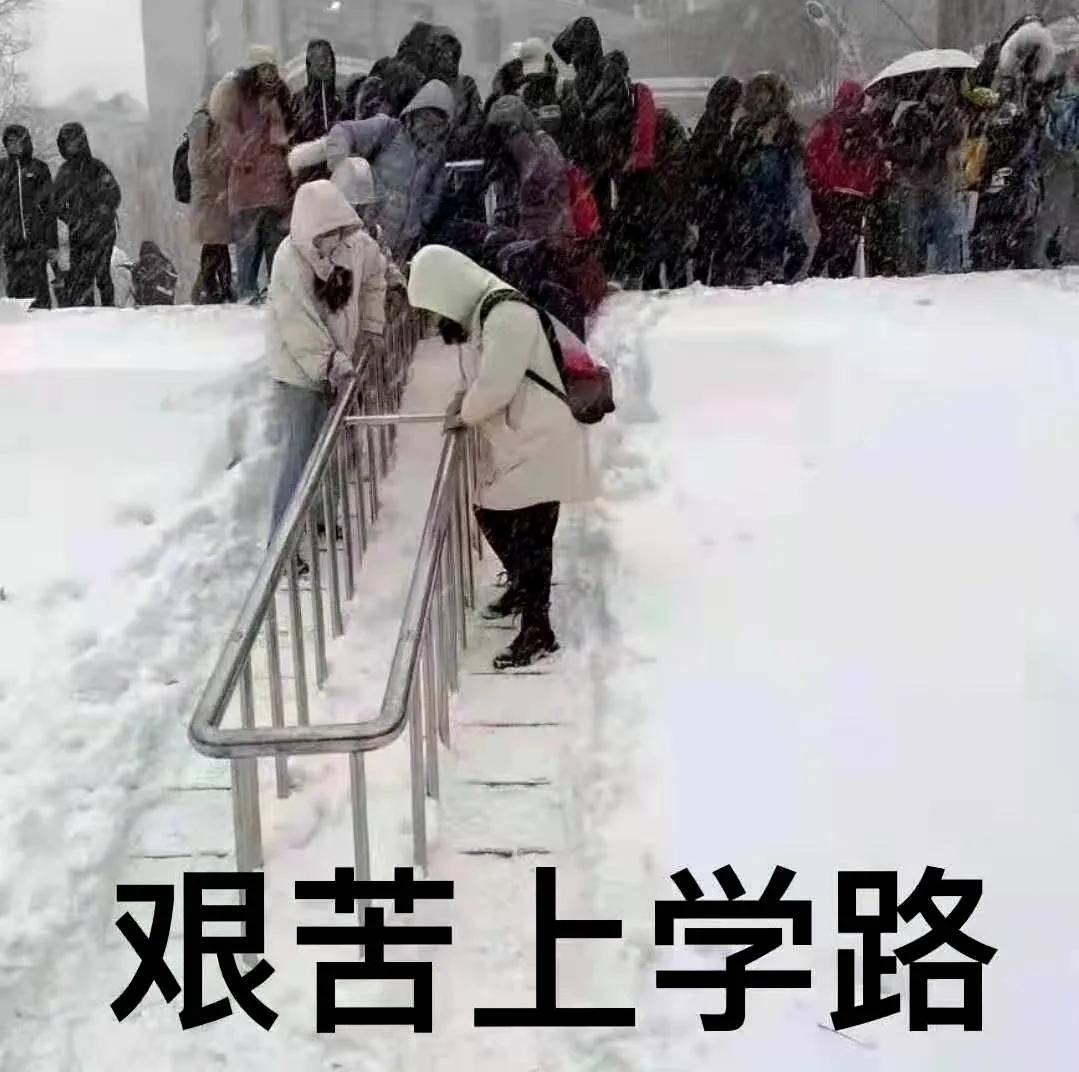 雪夜惊魂，大棚崩塌下的奇迹