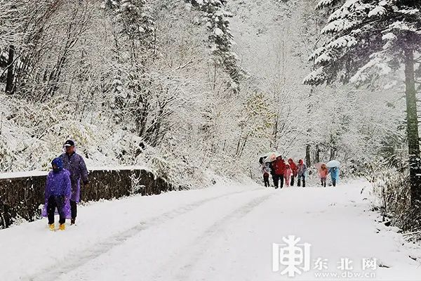 棉花代雪景区关闭背后的真相，深度解读与未来展望