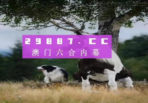 新澳门跑狗图正版免费——资料解释