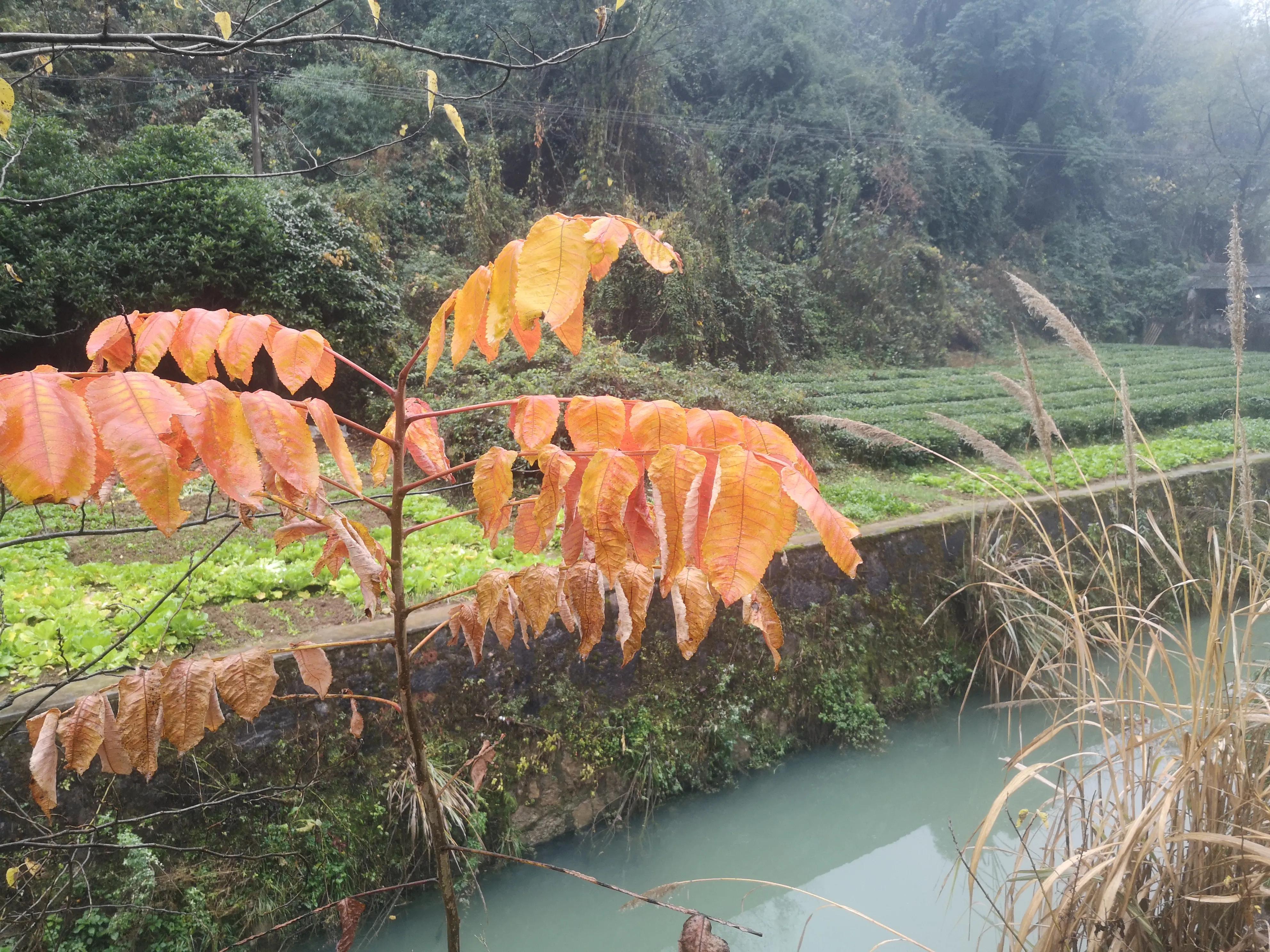 浪姐6，全新出发路透，引爆全网期待！神秘幕后曝光，究竟谁能乘风破浪？