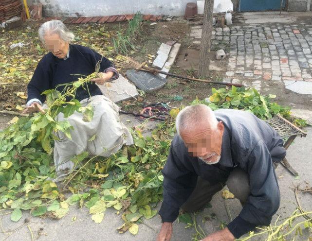 爷爷测听力闹乌龙，医生惊呆！背后隐藏了什么？