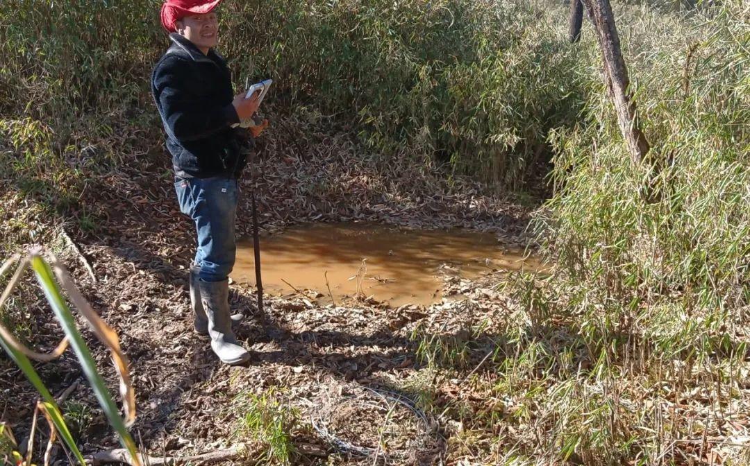 男子爬山偶遇两只大野猪，惊险瞬间引发关注热议