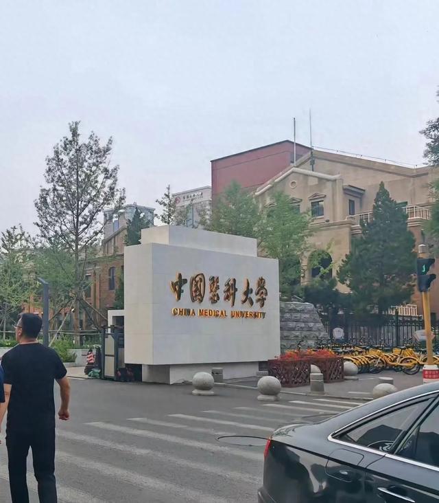 实习医院回应医科大研究生自杀事件，深度剖析背后的困惑与挑战