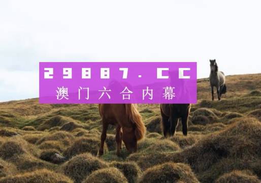 今晚新澳门结果揭晓！你绝对想不到的87.810进阶款背后隐藏的秘密!