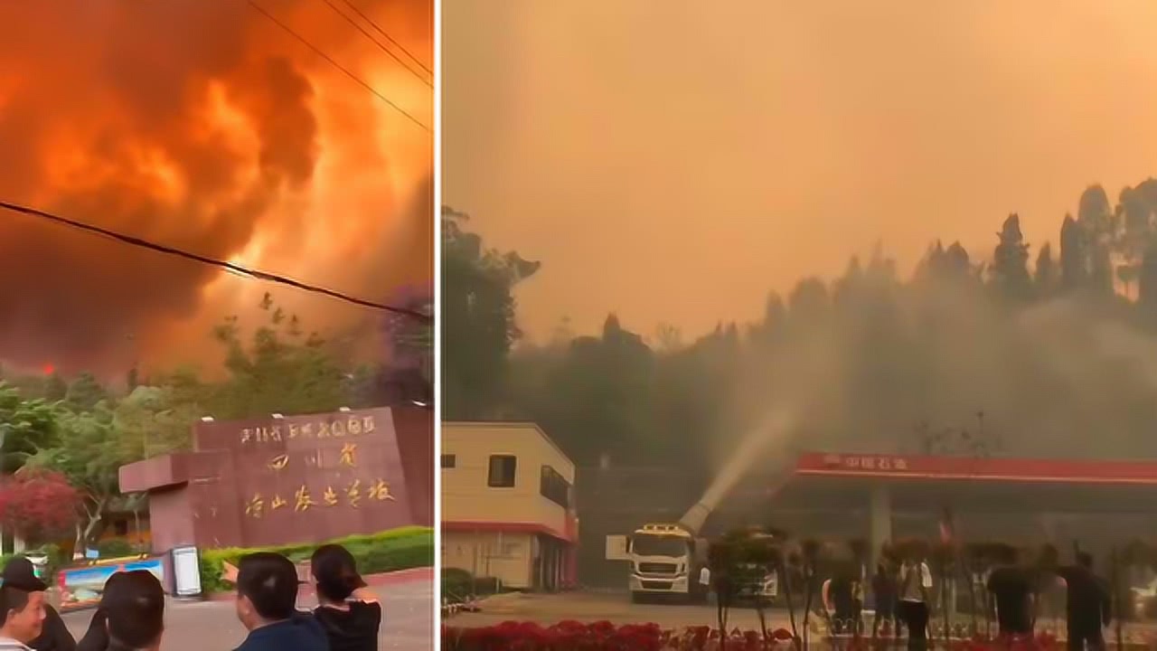 日本遭遇三十年最大山火，危机之下揭示生态挑战与应对之道！