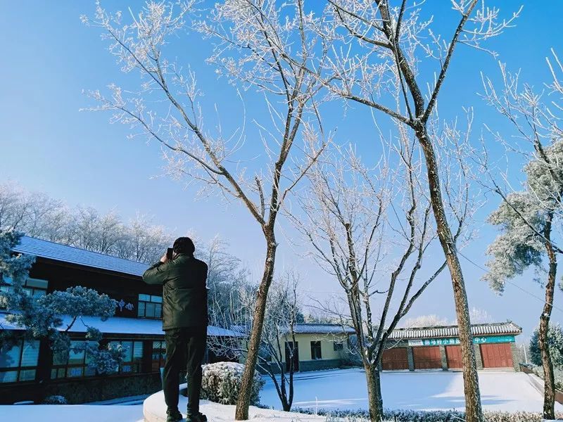 雪后济南的别样风情与美丽解读