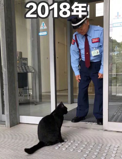 校园新保安机器狗即将上岗