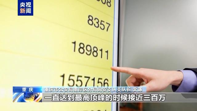 胖猫事件办案民警遭网暴，正义背后的网络风暴引人深思