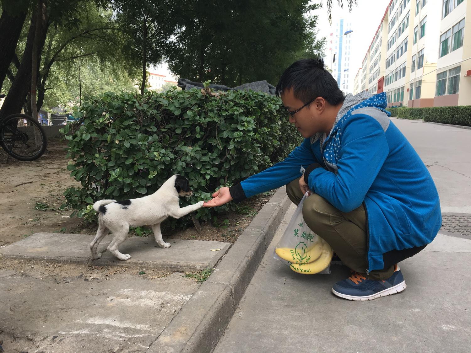 震惊！高校女生校内产子事件深度剖析