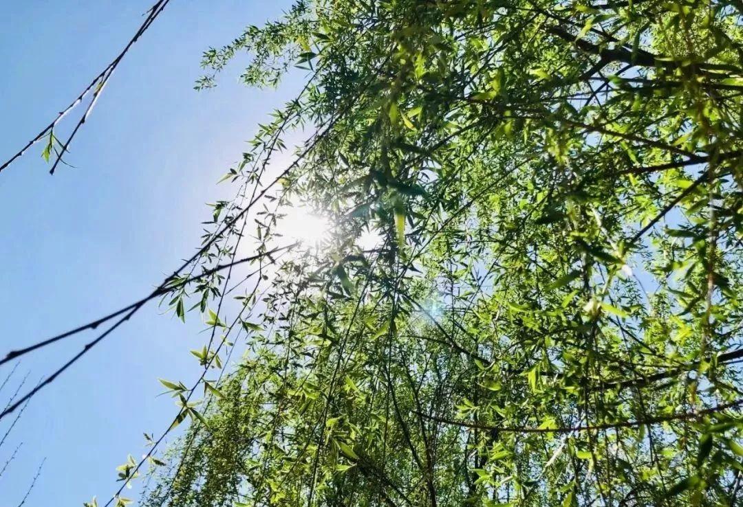 小男孩海上冒险，一夜漂流终获救，奇迹背后的故事引人深思